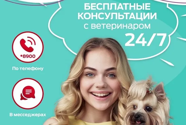 Бесплатная Линия заботы!